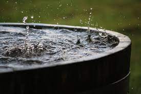 Collect Rainwater